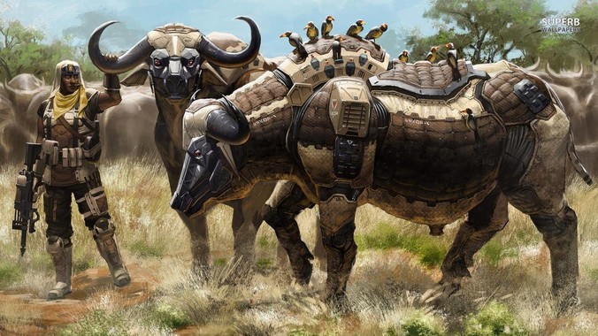 宠物看到一丝不挂的你, 都会想些啥?